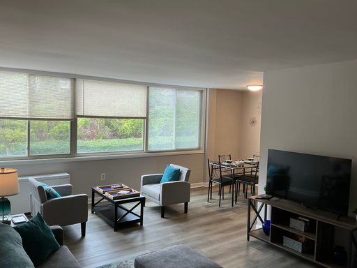 Bright, cozy, and Beautiful renovated corner large 1 Bedroom