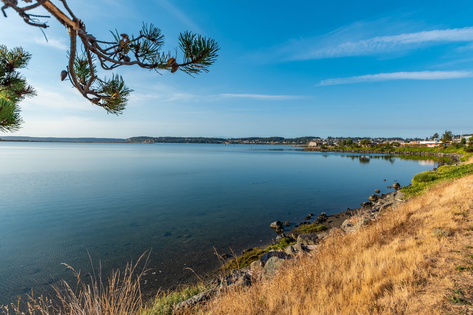 Oak Harbor Condo: 1410 SE Pioneer Way B102