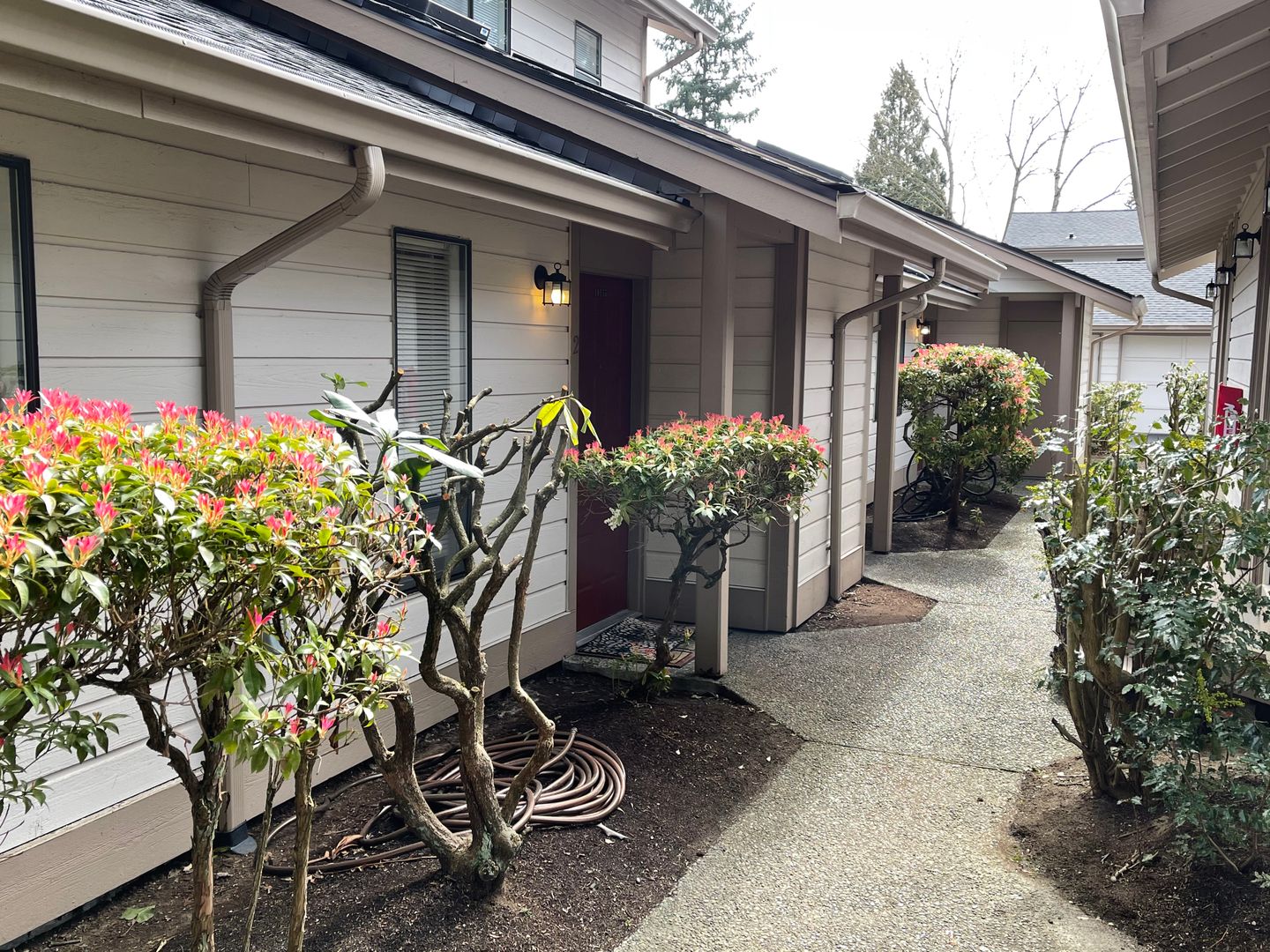 Kirkland Apartment: 10133-10157 NE 137th Pl