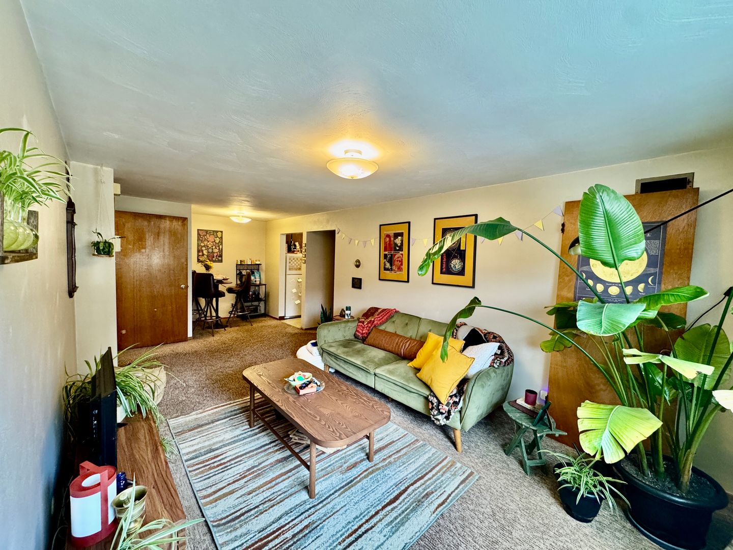 Pittsburgh Apartment: 4349 Murray Ave