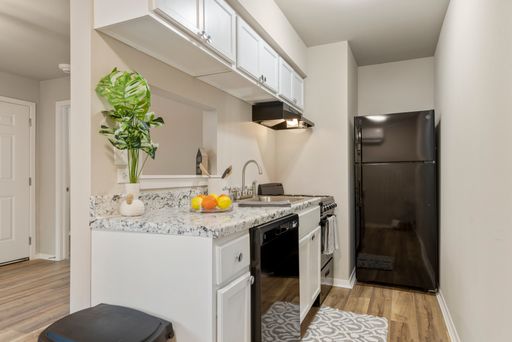 Fully Fully Renovated 1 Bedroom/ 1 Bath Available with washer/dryer! – photo 1