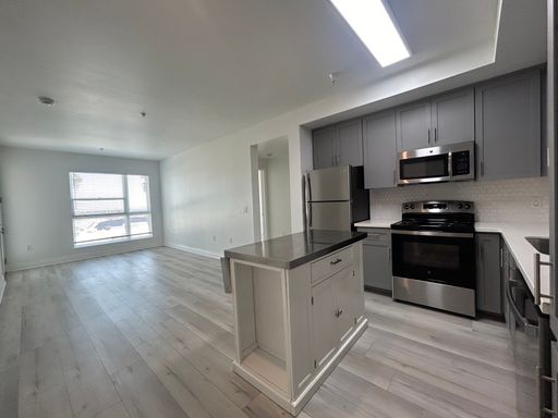 1 + 1 W LARGE BALCONIES / PATIOS! ROOFTOP POOL! GYM! – photo 1