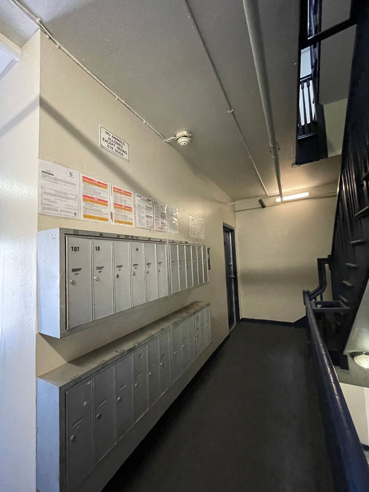 Los Angeles Apartment: 409 S. Alvarado St.