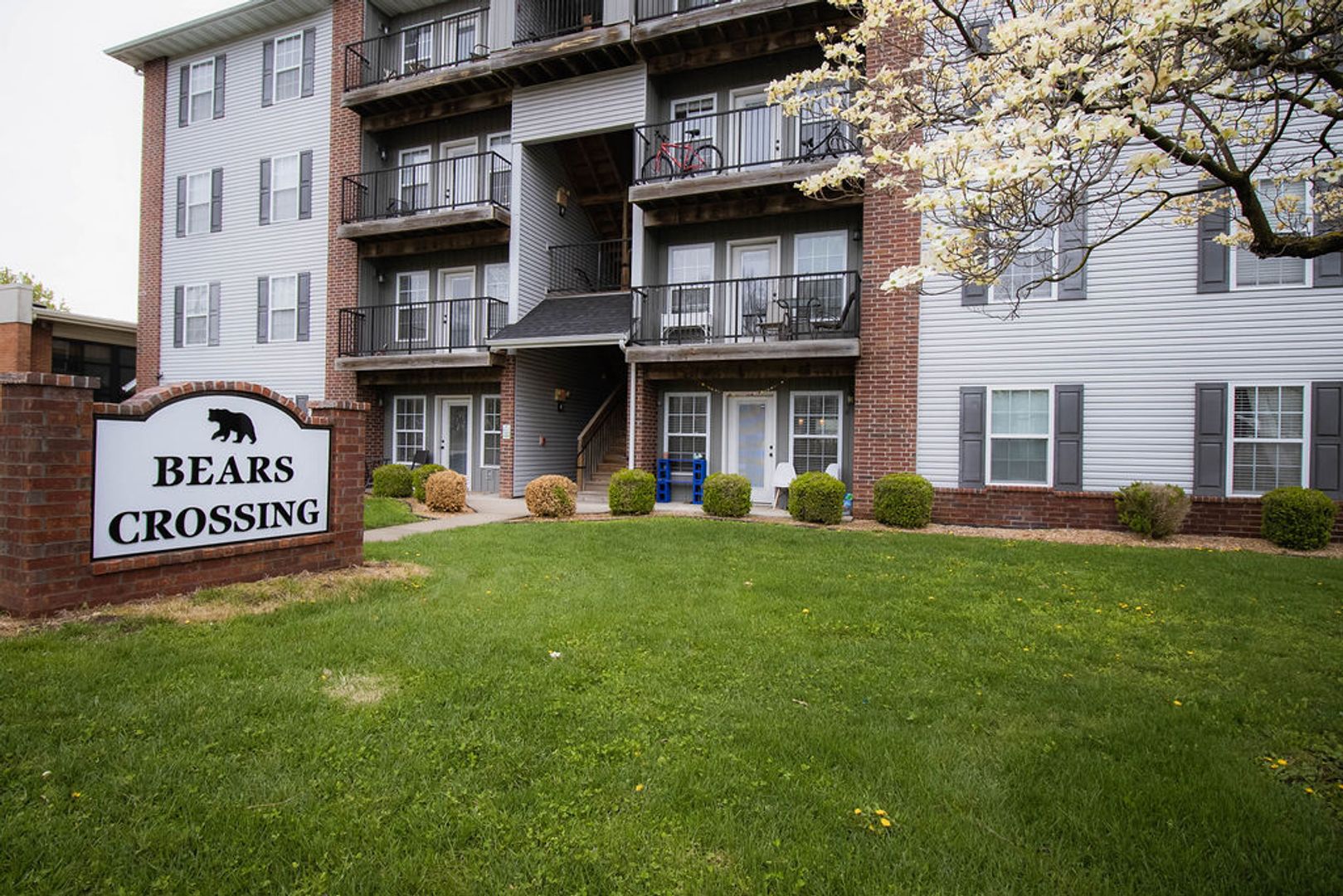 Springfield Apartment: 920 S National