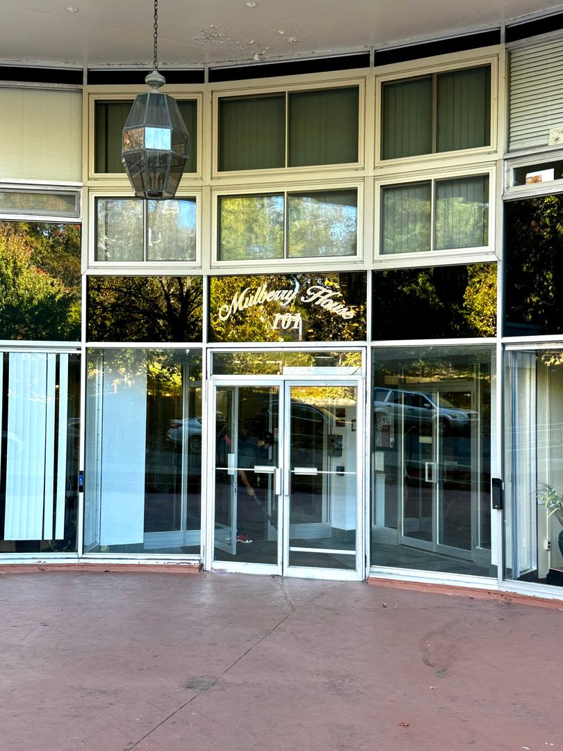 Springfield Condo: 101 Mulberry St