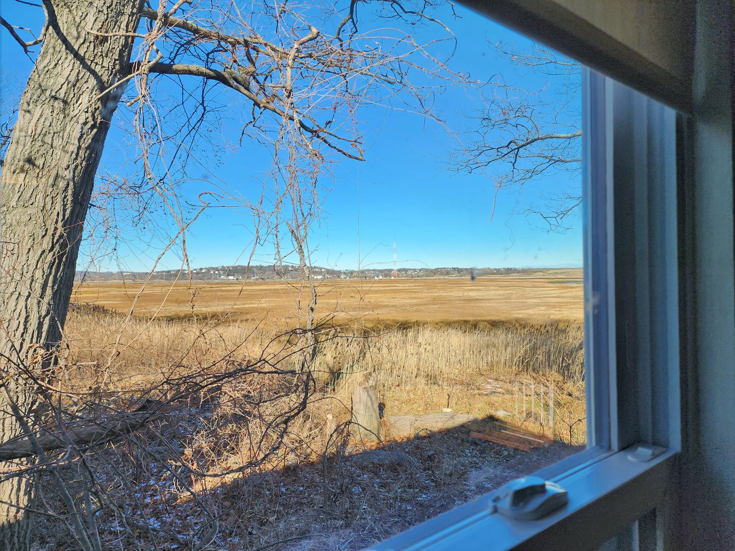 Revere Apartment: 46 Flint St.