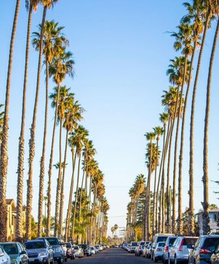 Beachside 1BR – 1 Month FREE + $199 Deposit on approved cedit – photo 1