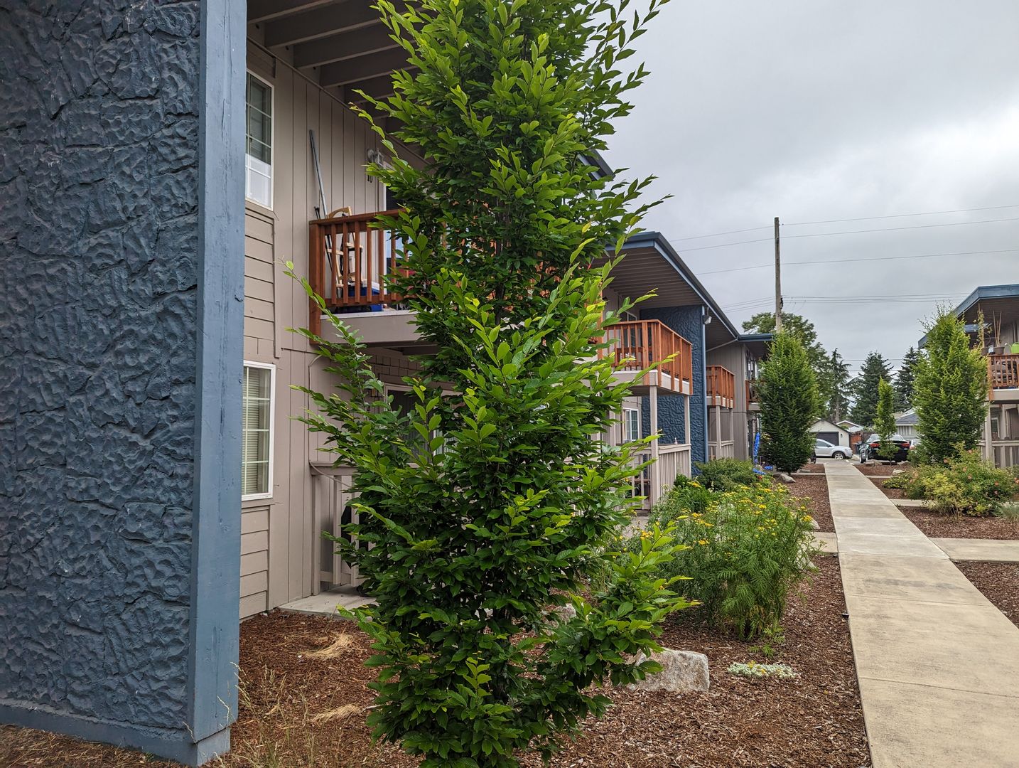 Tacoma Apartment: 230 S. 80th St.