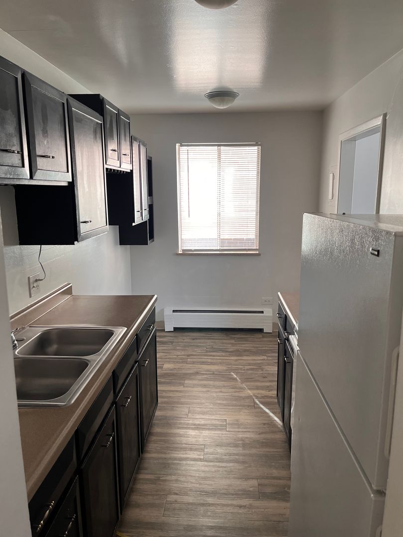 Denver Apartment: 1257 N Logan Street