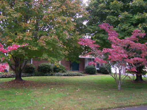 Listing photo thumbnail