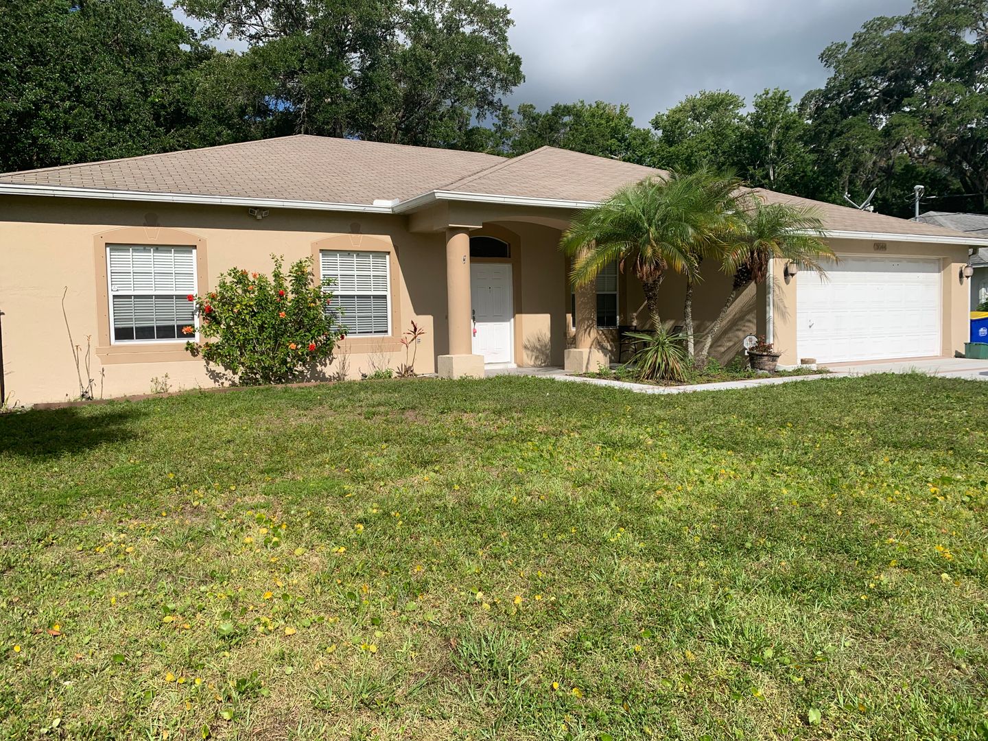 EDGEWATER House: 3044 SILVER PALM DRIVE