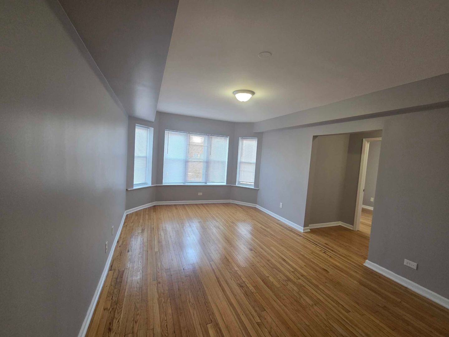 Chicago Apartment: 7542 S Stewart Ave