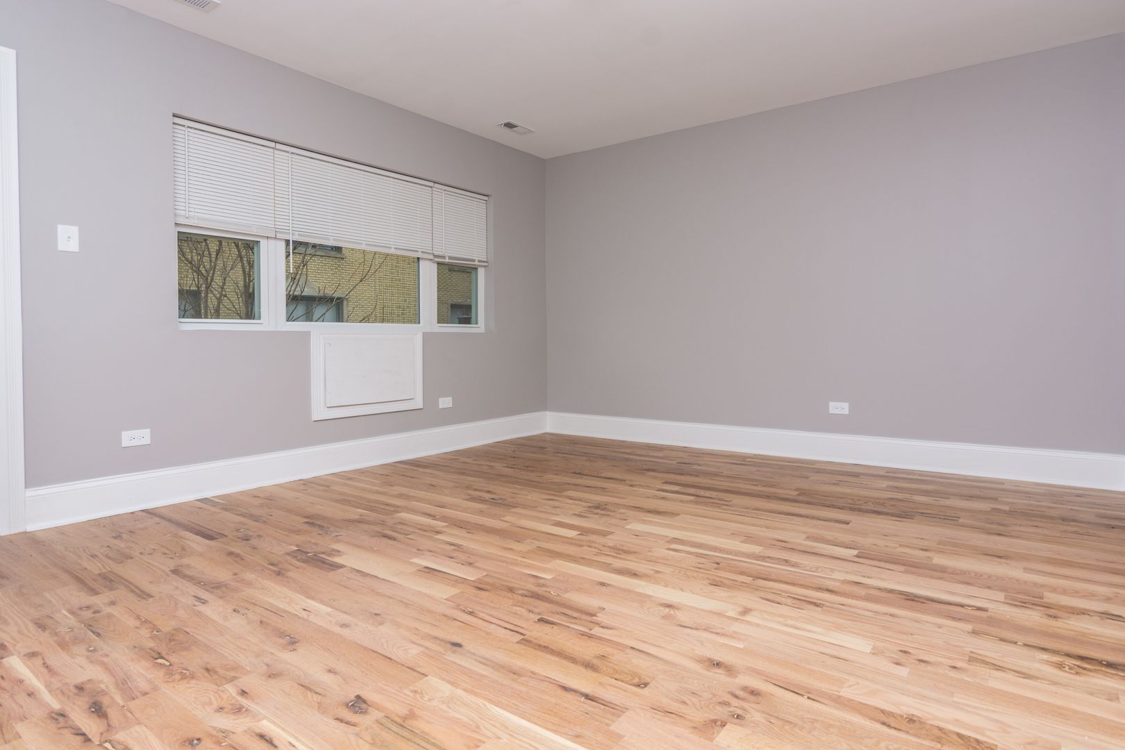Chicago Apartment: 8215 S Ellis Avenue