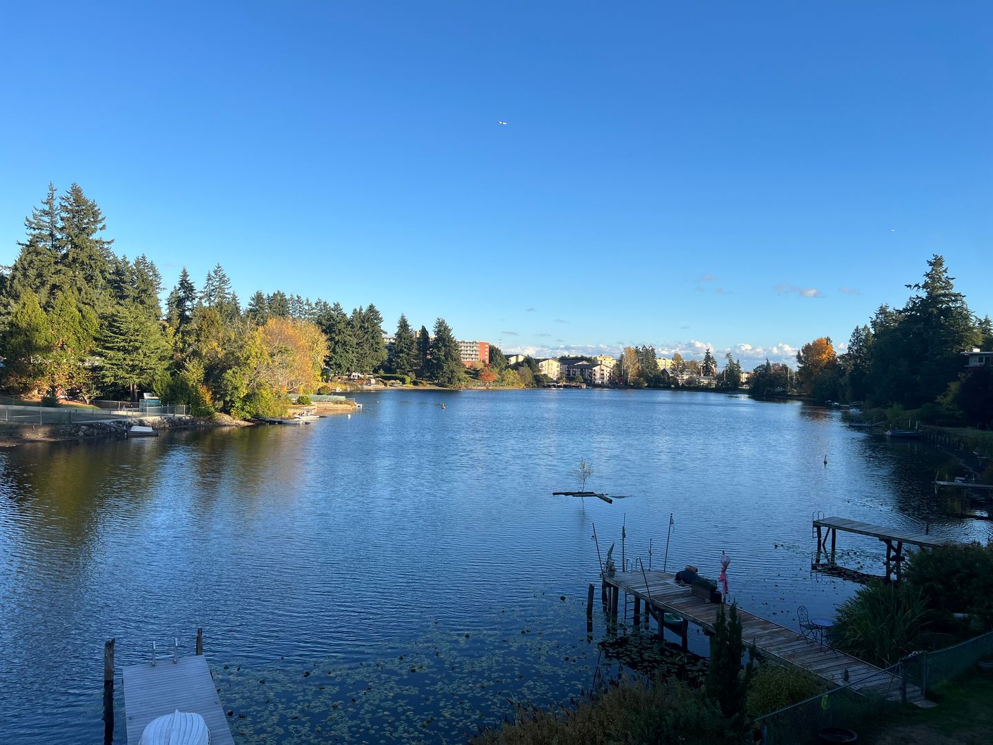 Seattle Apartment: 13456 Greenwood Ave N