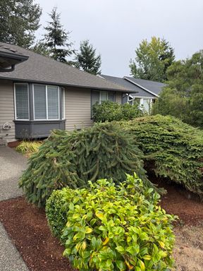 28026 230th Ave SE, Maple Valley, WA 98038