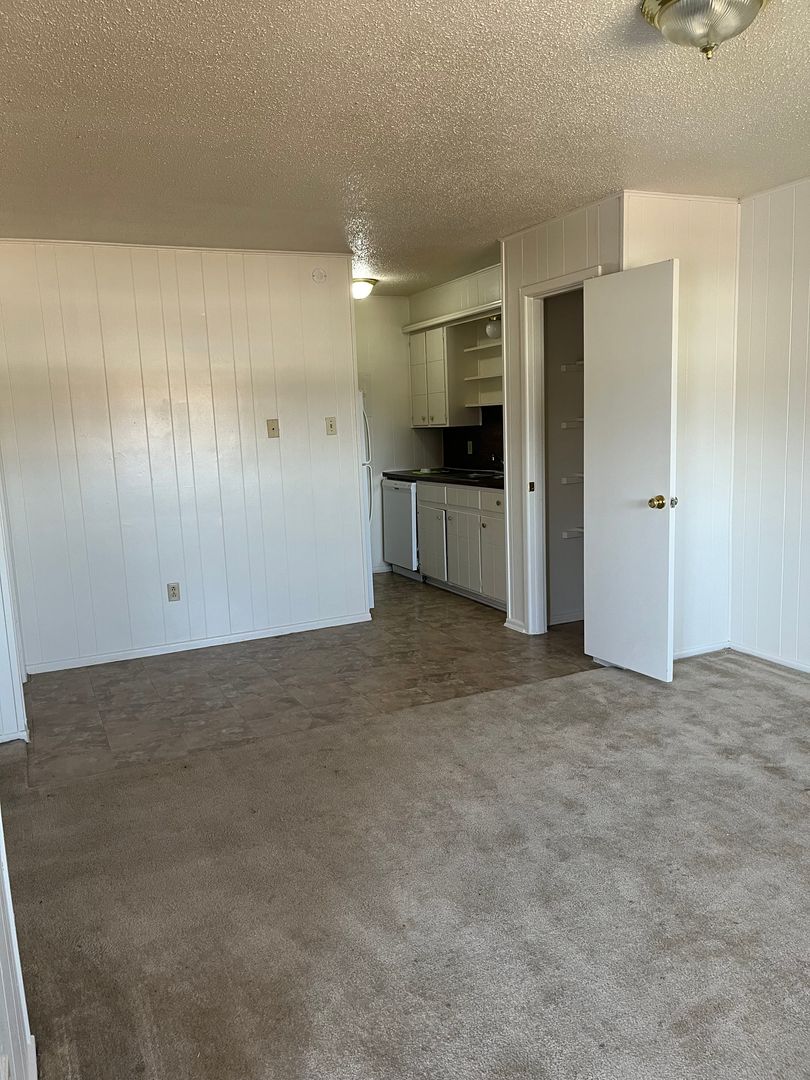 LUBBOCK Apartment: 1609 AVE R