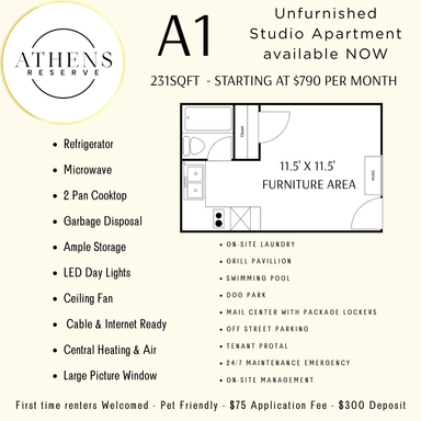 Apt 254 - Upstairs Studio