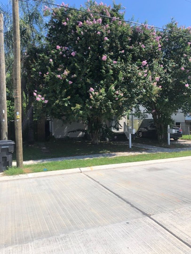 New Orleans Apartment: 2665-67 Abundance St.