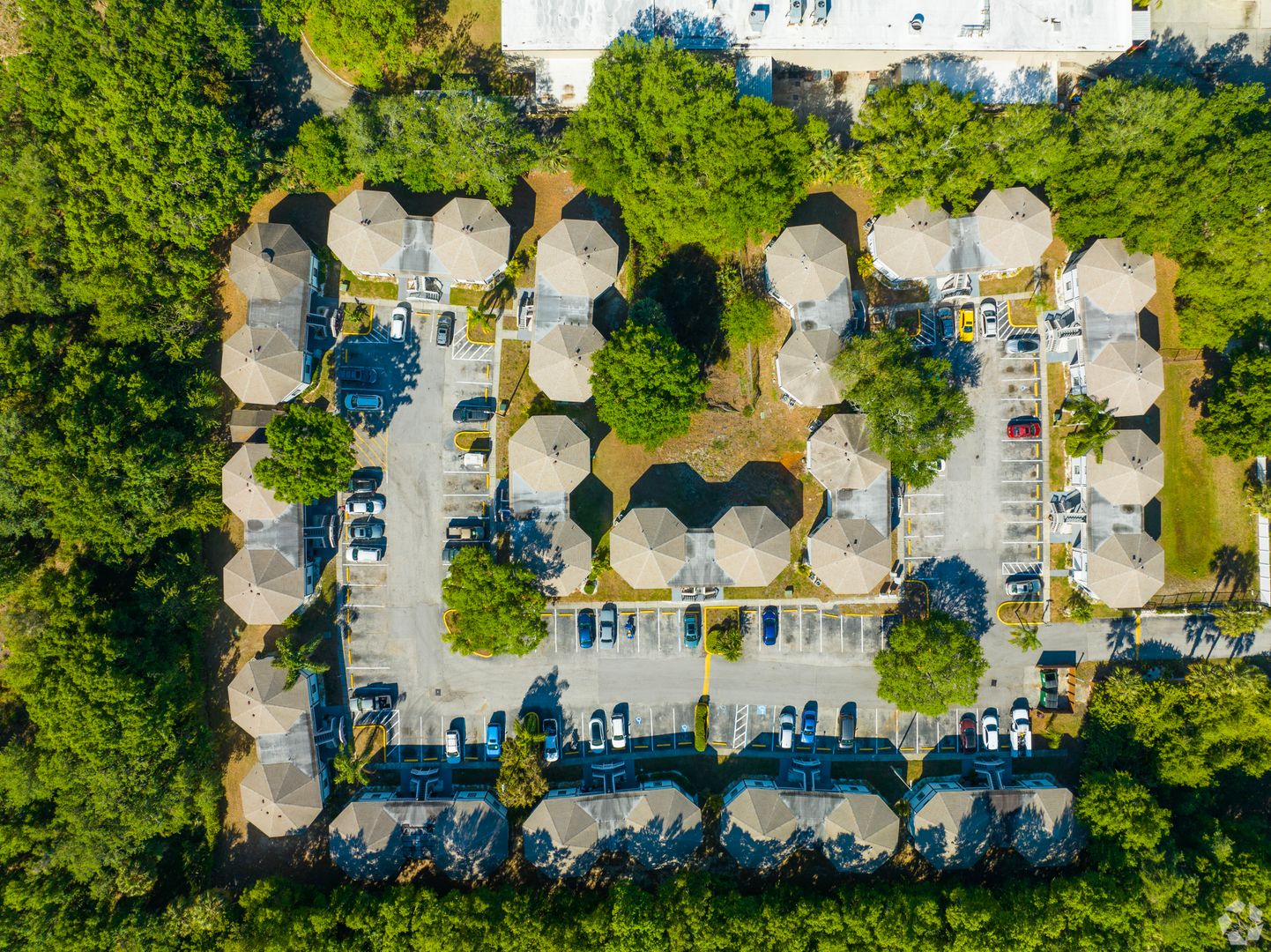 Tampa Apartment: 8014 Tommy Ct