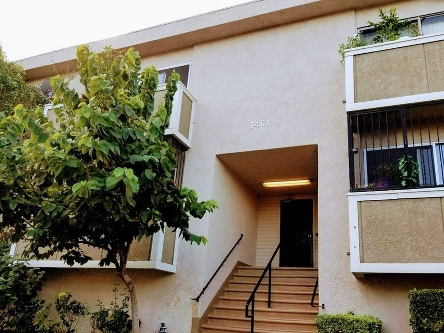 Van Nuys Apartment: 7461 Hazeltine Ave