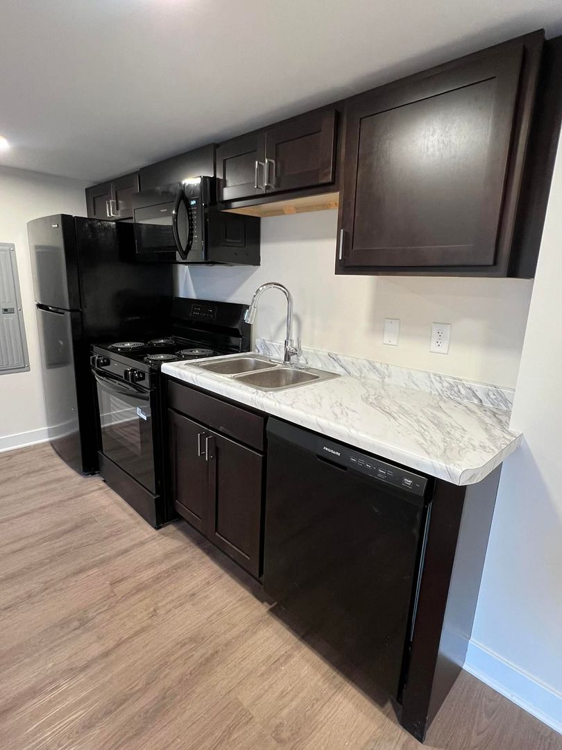 Mount Carroll Apartment: 203 E Seminary Street