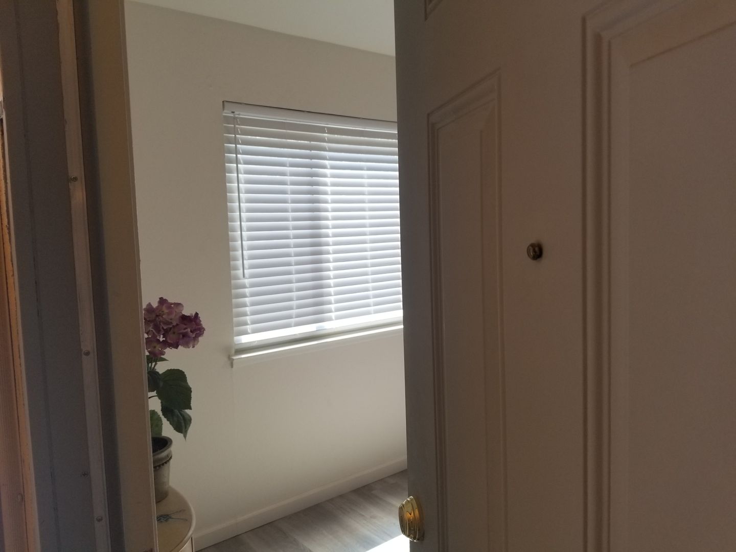 Woodland Apartment: 613 2nd Street