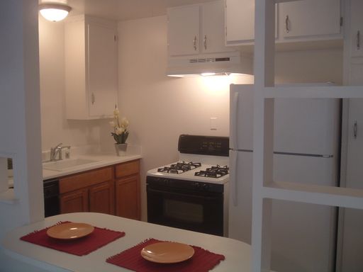 Large ground floor unit! – photo 1