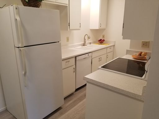 Quite newly renovated ground floor unit