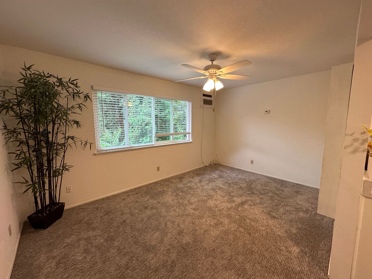 Woodland Apartment: 613 2nd Street