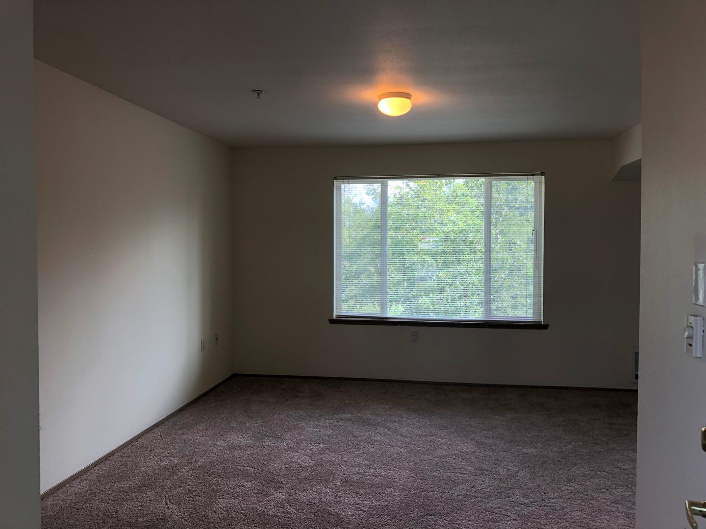 Bellingham Apartment: 3955 Primrose Lane
