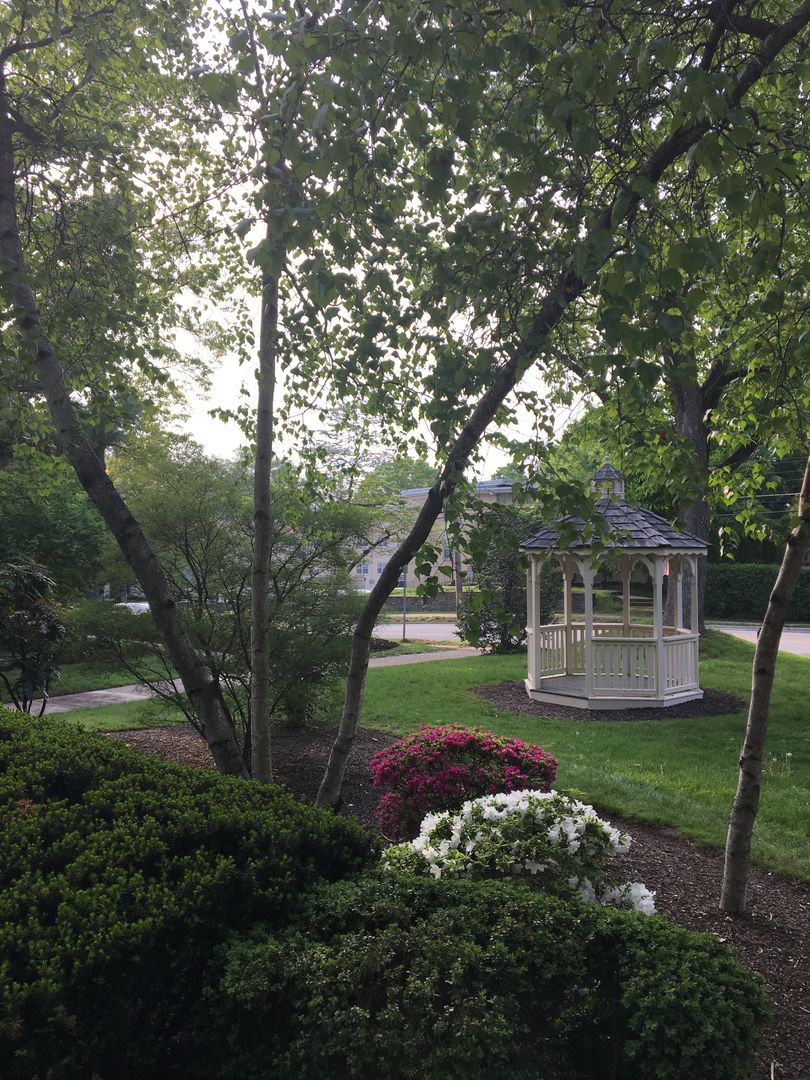 Bala Cynwyd Apartment: 118 Montgomery Avenue