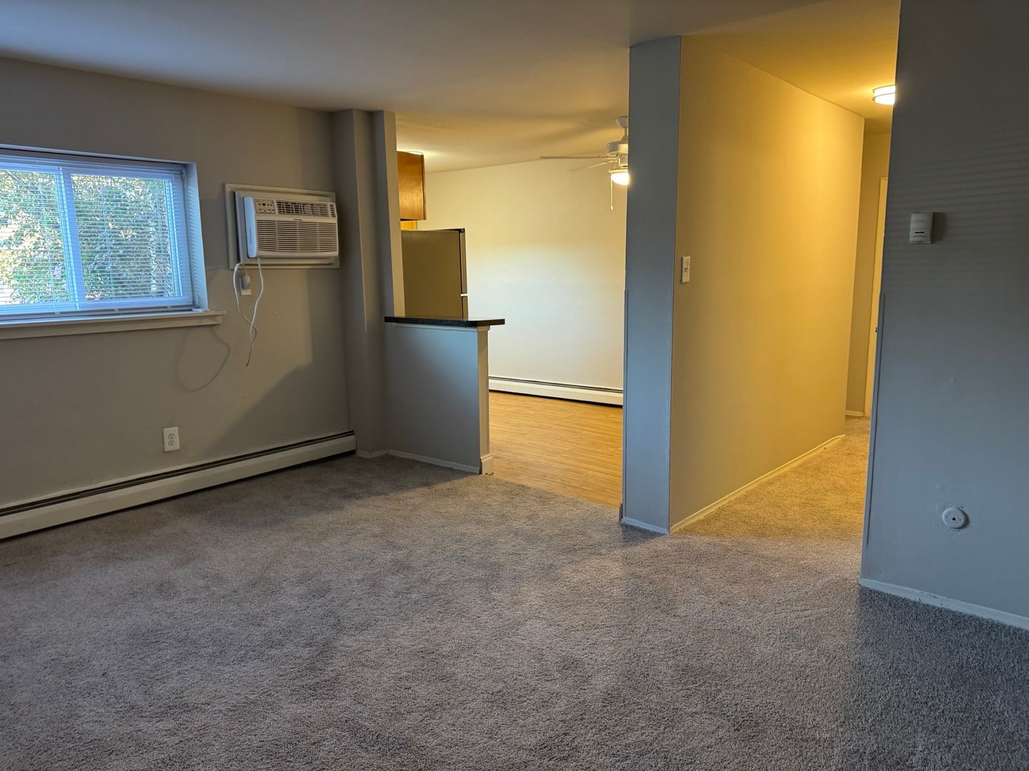 Philadelphia Apartment: 450 Domino Lane