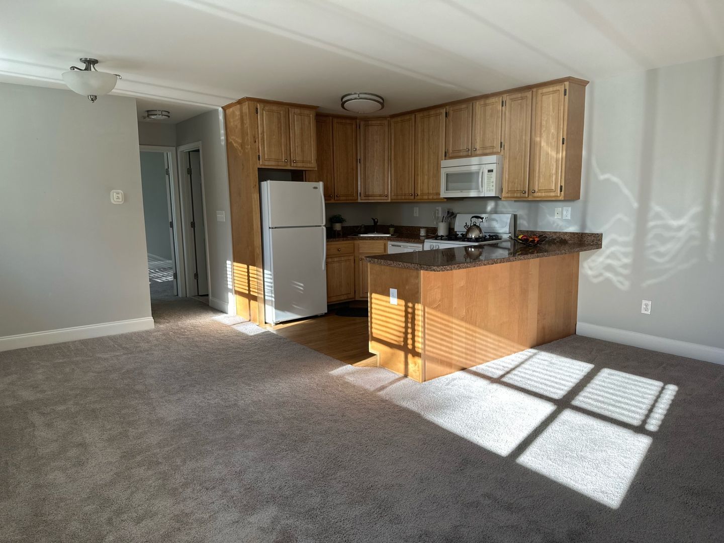 Philadelphia Apartment: 450 Domino Lane