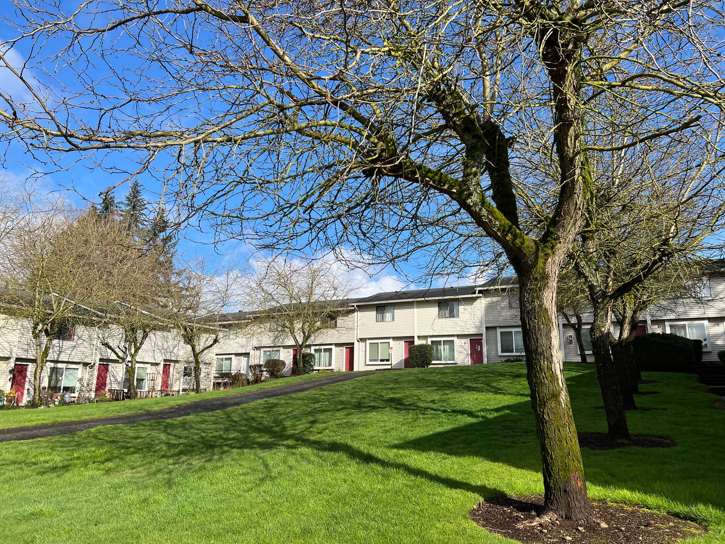 Vancouver Apartment: 5114 NE 34th Street