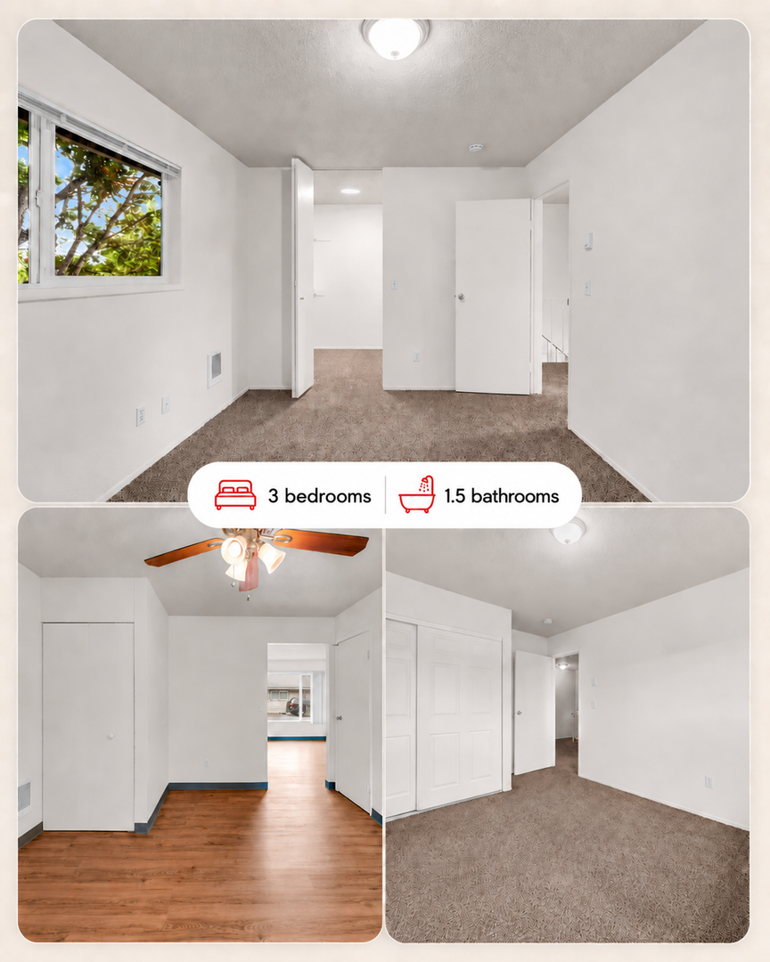 S815 - Star Apartments 4 of 38