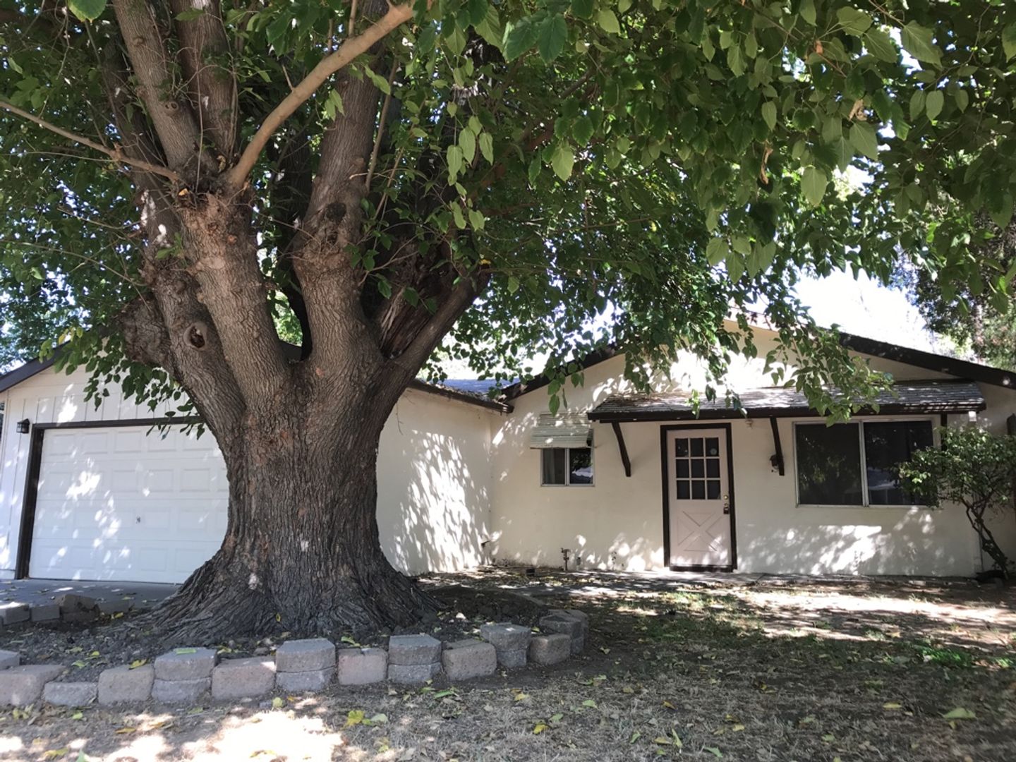 Davis House: 1318 Chestnut Lane
