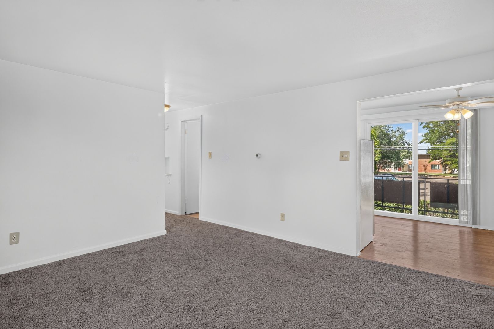 Lakewood Apartment: 715 Moore Street