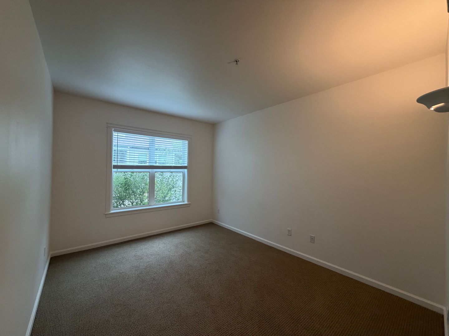1575 Zamia Apt 2 — photo 11
