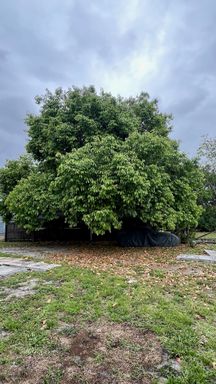 RV Lot for Rent – Utilities Included - WEST BOCA RATON