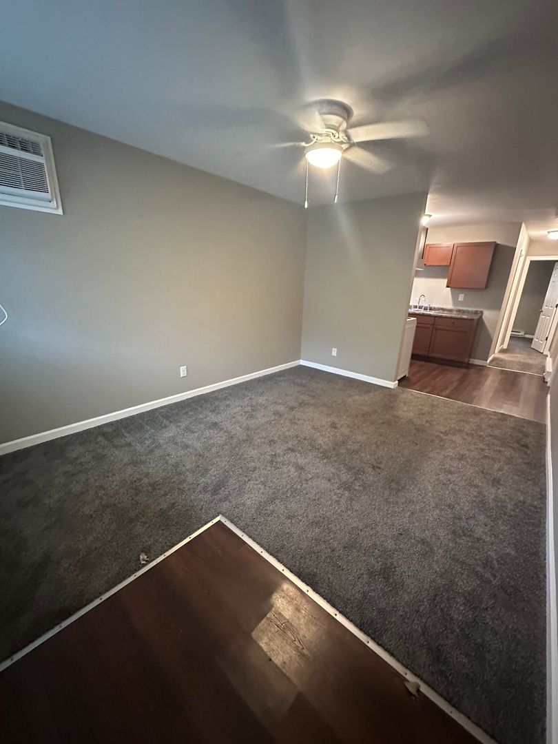 Hoopeston Apartment: 725 East McNeil