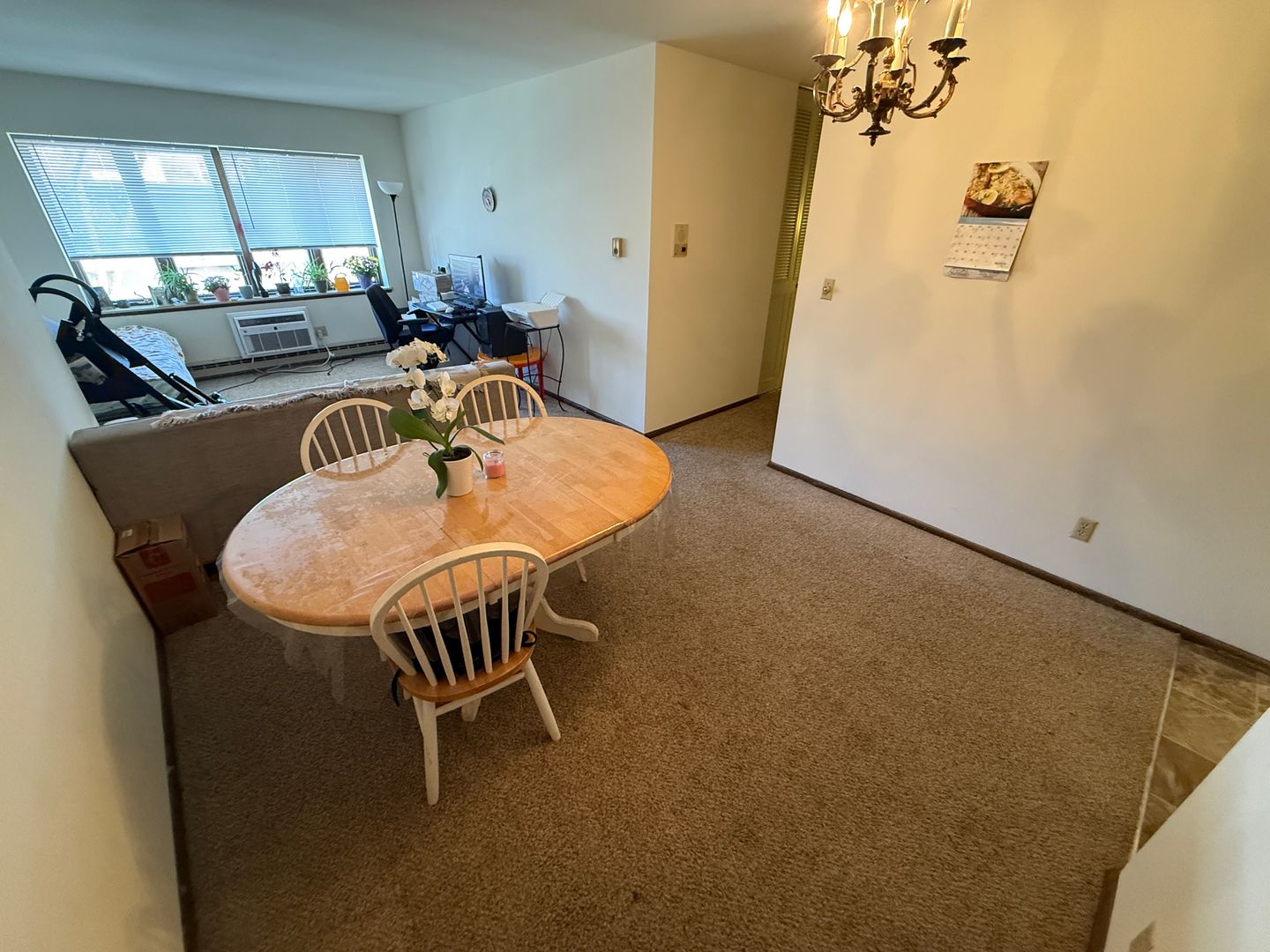 Whitefish Bay Apartment: 425 E. Henry Clay St.